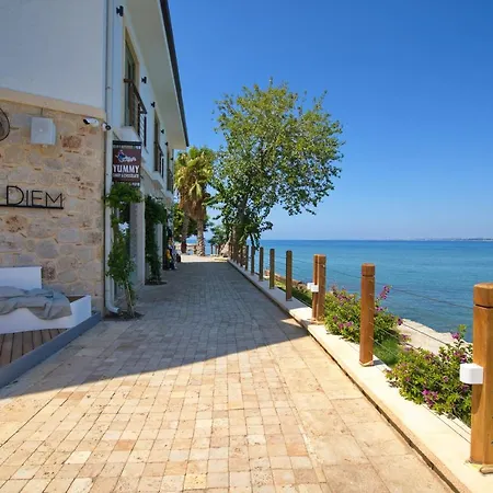 Hotel Carpe Diem Boutique - Adults Only *