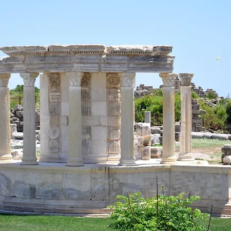 Carpe Diem Boutique - Adults Only * 시데