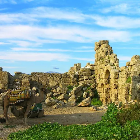 호텔 Carpe Diem Boutique - Adults Only *